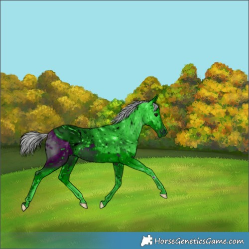 Horse Color:ERROR: UNKNOWN ANOMALY