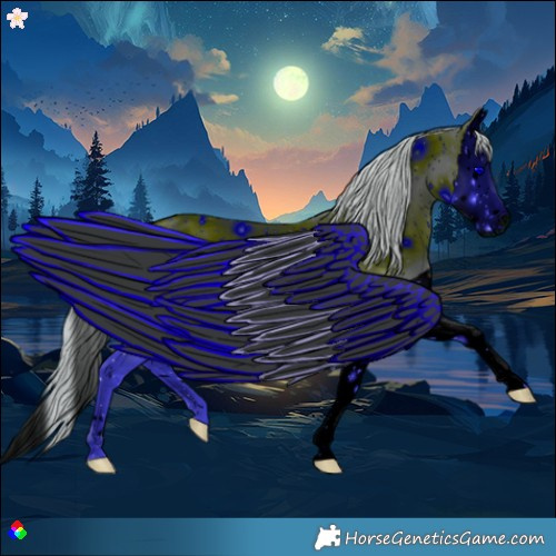 Horse Color:ERROR: UNKNOWN ANOMALY