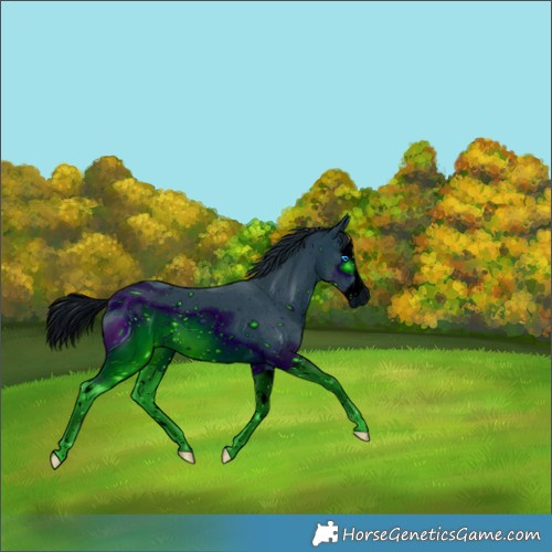 Horse Color:ERROR: UNKNOWN ANOMALY