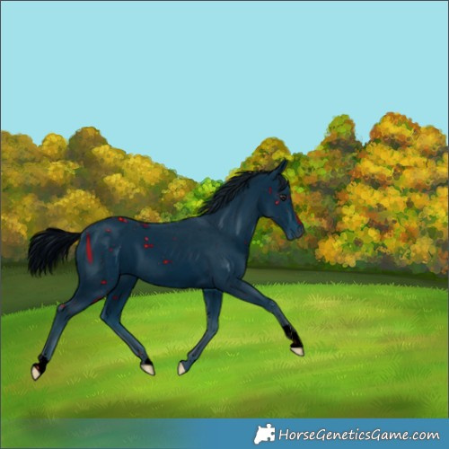 Horse Color:ERROR: UNKNOWN ANOMALY