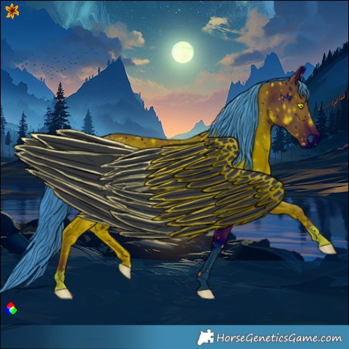 Horse Color:ERROR: UNKNOWN ANOMALY