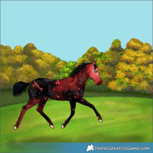 Horse Color:ERROR: UNKNOWN ANOMALY