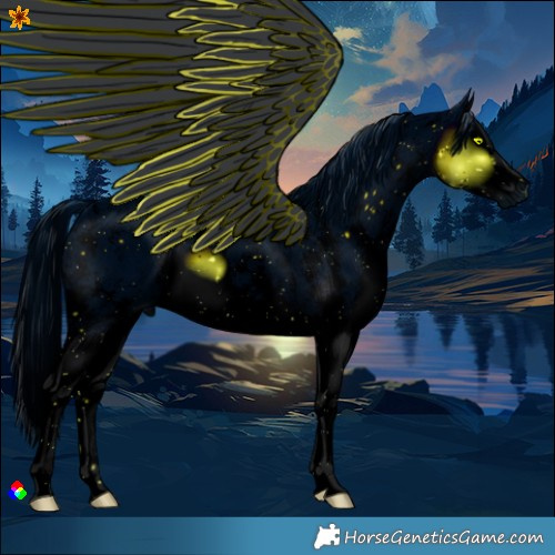 Horse Color:ERROR: UNKNOWN ANOMALY