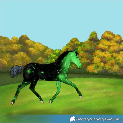 Horse Color:ERROR: UNKNOWN ANOMALY