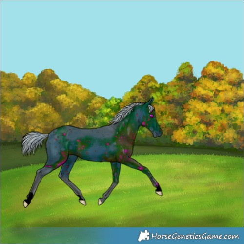 Horse Color:ERROR: UNKNOWN ANOMALY