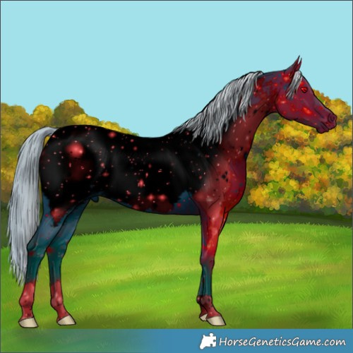 Horse Color:ERROR: UNKNOWN ANOMALY