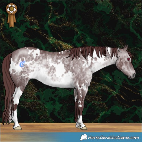 Horse Color:White Spotted Chocolate Brown Chinchilla 