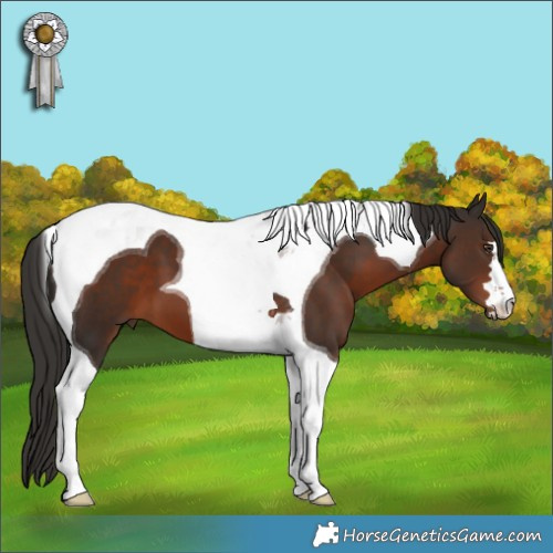 Horse Color:Liver Chestnut Tobiano 
