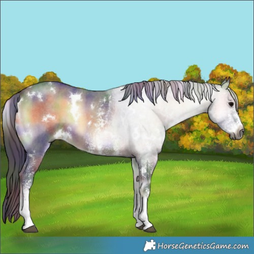 Horse Color:Gray Nacre White Spotted Brown Onyx Sabino 
