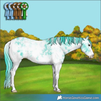 Horse Color:Watercolor Black Ice Sabino