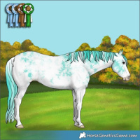 Horse Color:Watercolor Black Ice Sabino 