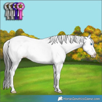 Horse Color:White Spotted Smoky Black Ice Splash 