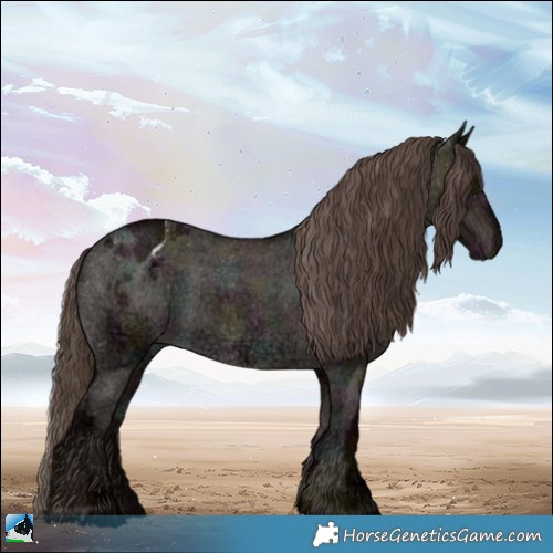 Horse Color:Midnight Liver Red Dun Ice Appaloosa 