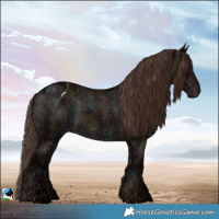 Horse Color:Midnight Liver Red Dun Ice Varnish 