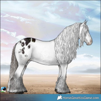 Horse Color:Midnight Liver Red Dun Ice Varnish