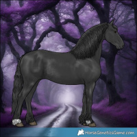 Horse Color:Black Rabicano 