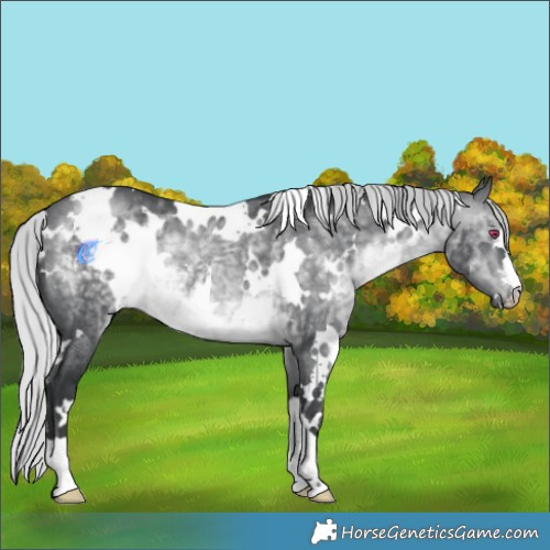 Horse Color:White Spotted Silver Brown Chinchilla 