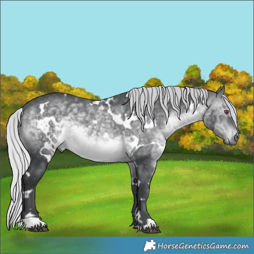 Horse Color:Platinum White Spotted Silver Brown Chinchilla