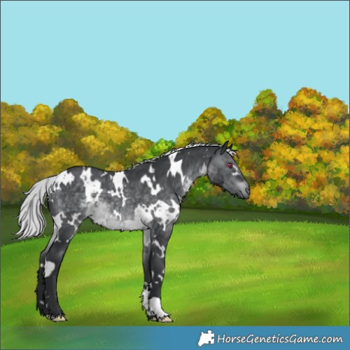 Horse Color:Platinum White Spotted Silver Brown Chinchilla 