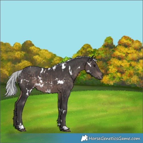 Horse Color:Platinum White Spotted Silver Brown 