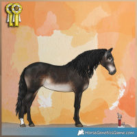 Horse Color:Gray Brown 