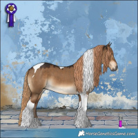 Horse Color:Gray Liver Red Dun Tobiano 