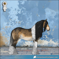 Horse Color:Gray Buckskin Dun Tobiano 