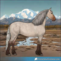 Horse Color:Silver Brown Roan Dun 