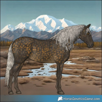 Horse Color:Silver Buckskin 