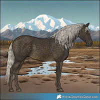 Horse Color:Silver Buckskin
