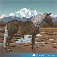 Horse Color:Silver Buckskin and Silver Buckskin