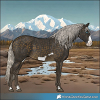 Horse Color:Silver Buckskin Frame