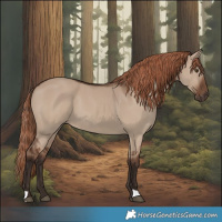 Horse Color:Liver Red Dun 