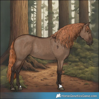 Horse Color:Liver Red Dun