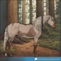 Horse Color:Liver Red Dun  and Liver Red Dun 