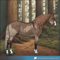 Horse Color:Liver Red Dun Rabicano and Liver Red Dun Rabicano