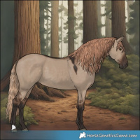 Horse Color:Liver Red Dun 