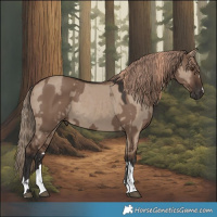 Horse Color:Liver Red Dun  and Liver Red Dun 