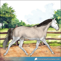 Horse Color:Sable Champagne Dun Splash 