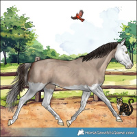 Horse Color:Sable Champagne Dun Splash 