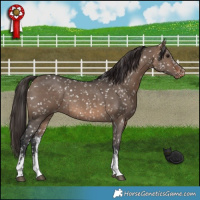 Horse Color:Brown Dun Sabino Snowflake VarnishRabicano 