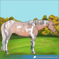 Horse Color:Watercolor Silver Bay Ice Dun Tobiano Varnish 
