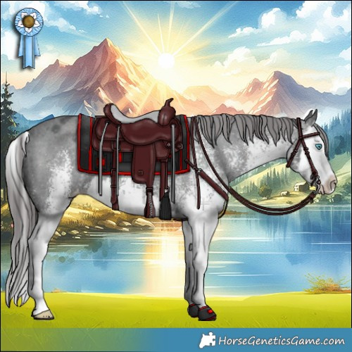 Horse Color:White Spotted Black Splash Appaloosa 
