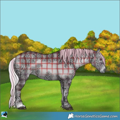 Horse Color:Plaid  Chocolate Silver Bay Chinchilla Ice Onyx Sabino 