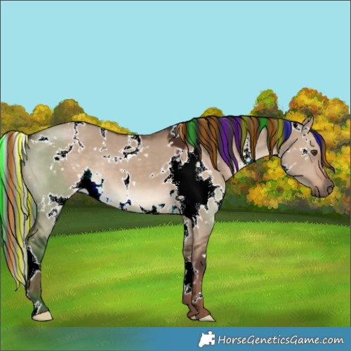 Horse Color:Painted White Spotted Liver Red Dun