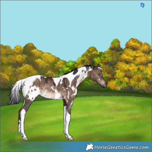 Horse Color:White Spotted Brown Dun Mushroom Tobiano Brindle