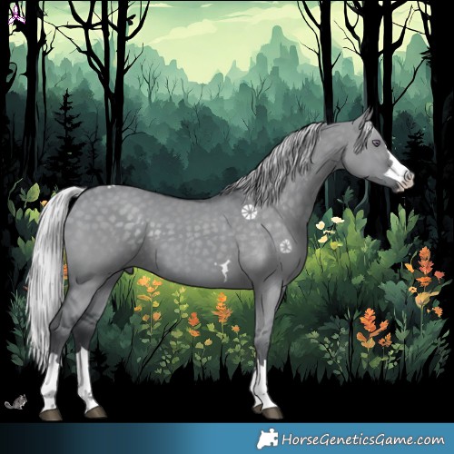 Horse Color:Silver Grullo Chinchilla 
