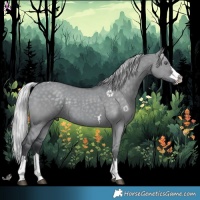 Horse Color:Silver Grullo Chinchilla 