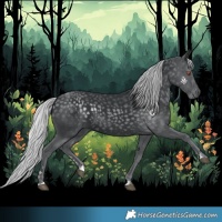 Horse Color:Silver Black Chinchilla 