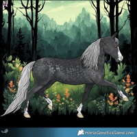 Horse Color:Silver Black Chinchilla 